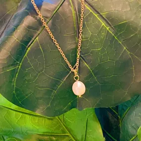 Singular Fresh Water Pearl Necklace