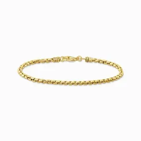 Sterling Silver Gold Plated Venezia Bracelet A2086-413-39